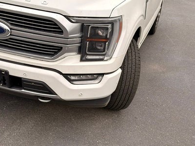 2023 Ford F-150 Limited